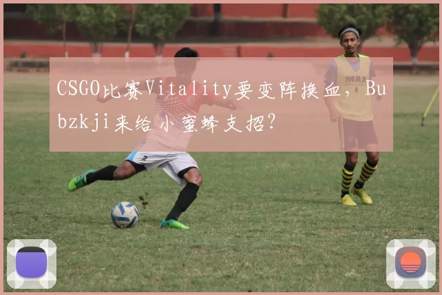 CSGO比赛Vitality要变阵换血，Bubzkji来给小蜜蜂支招？