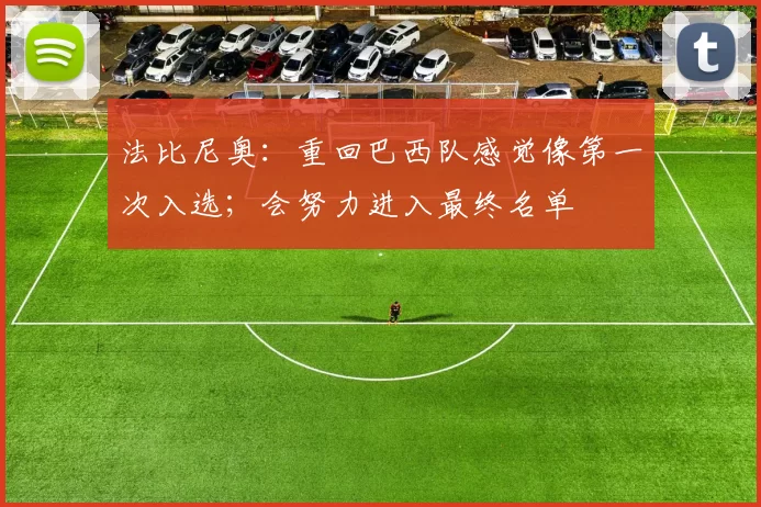 法比尼奥：重回巴西队感觉像第一次入选；会努力进入最终名单