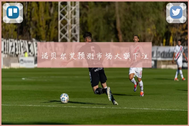 诺贝尔奖预测市场大额下注