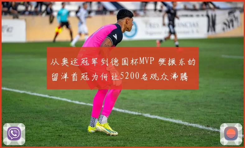 从奥运冠军到德国杯MVP 樊振东的留洋首冠为何让5200名观众沸腾