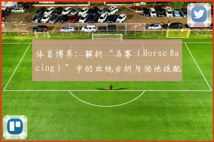 体育博弈：解析“马赛（Horse Racing）”中的血统分析与场地适配逻辑。（从体育博弈看赛马：血统解读与场地适配逻辑）