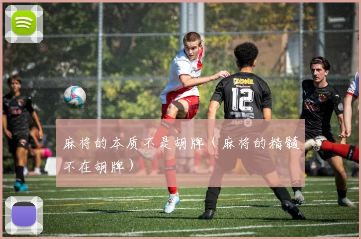麻将的本质不是胡牌（麻将的精髓不在胡牌）